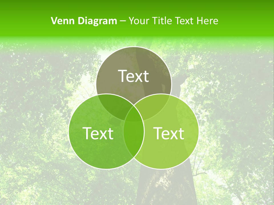 Day Landscape Deciduous PowerPoint Template