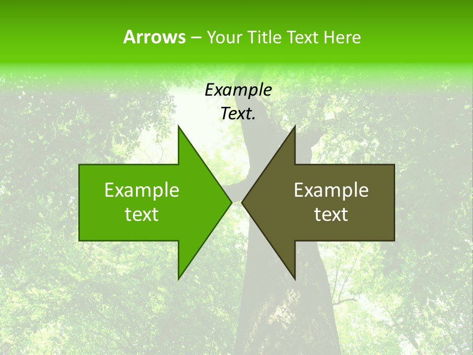 Day Landscape Deciduous PowerPoint Template