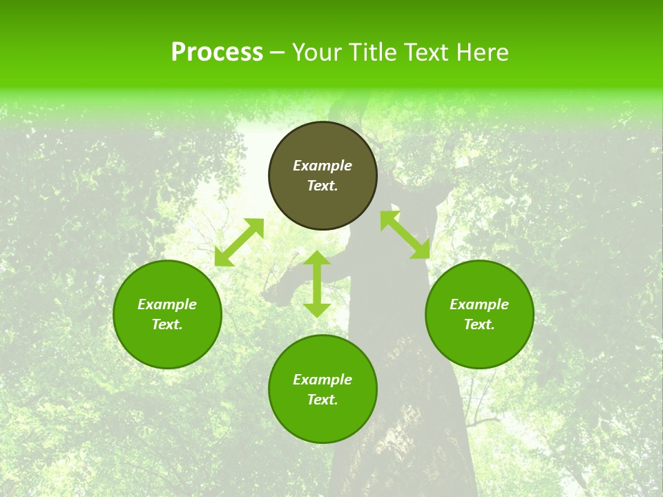 Day Landscape Deciduous PowerPoint Template