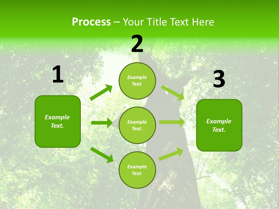 Day Landscape Deciduous PowerPoint Template