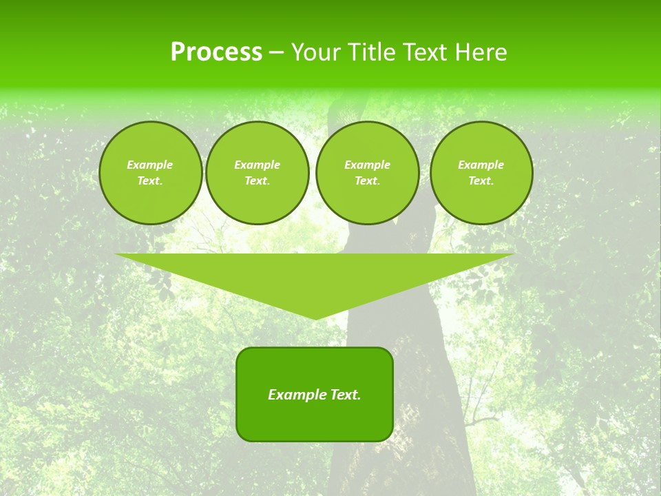 Day Landscape Deciduous PowerPoint Template