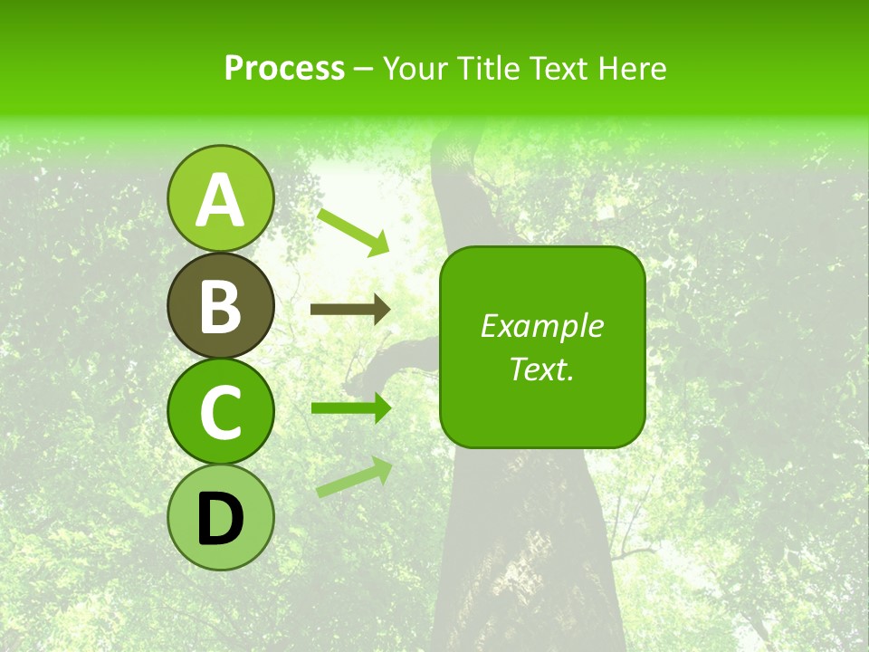Day Landscape Deciduous PowerPoint Template