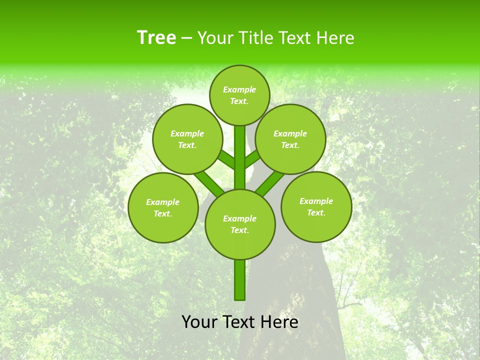 Day Landscape Deciduous PowerPoint Template