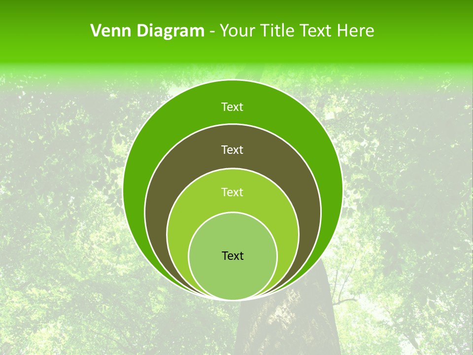 Day Landscape Deciduous PowerPoint Template