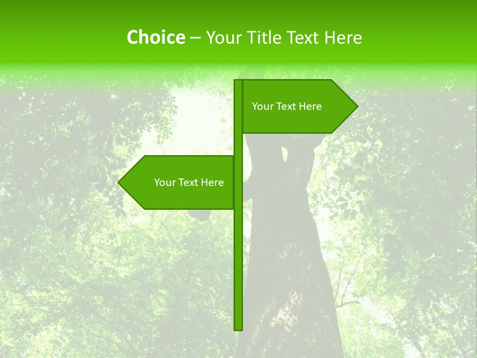 Day Landscape Deciduous PowerPoint Template