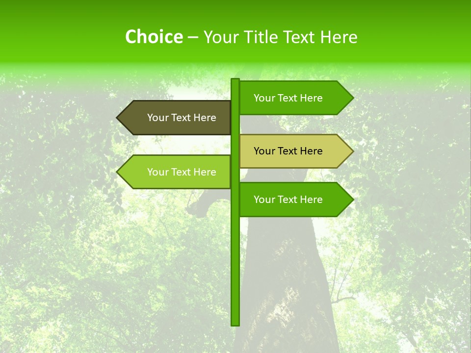 Day Landscape Deciduous PowerPoint Template