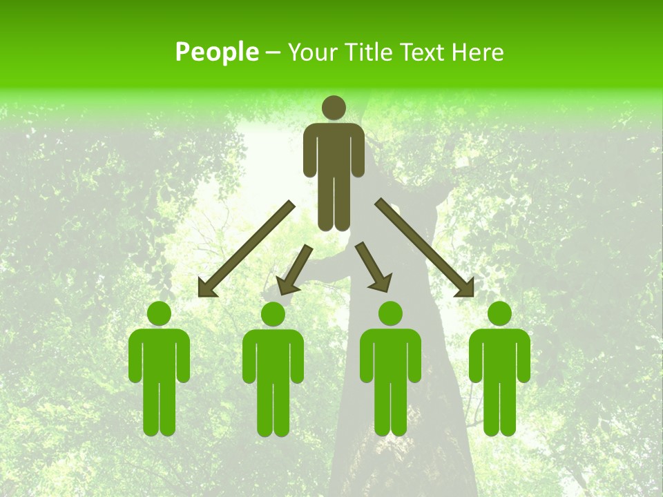 Day Landscape Deciduous PowerPoint Template