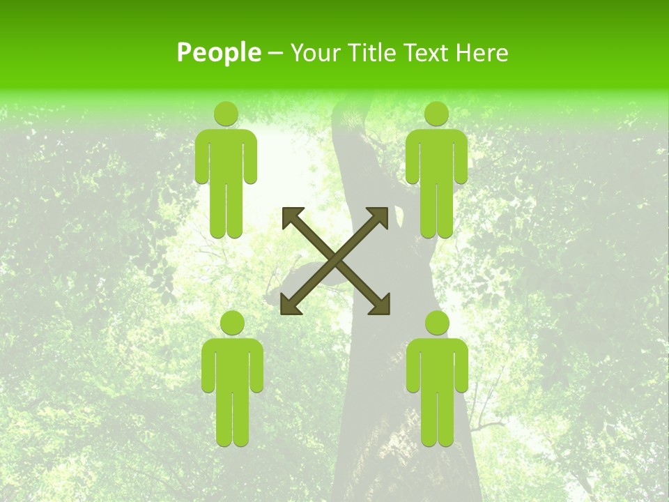 Day Landscape Deciduous PowerPoint Template