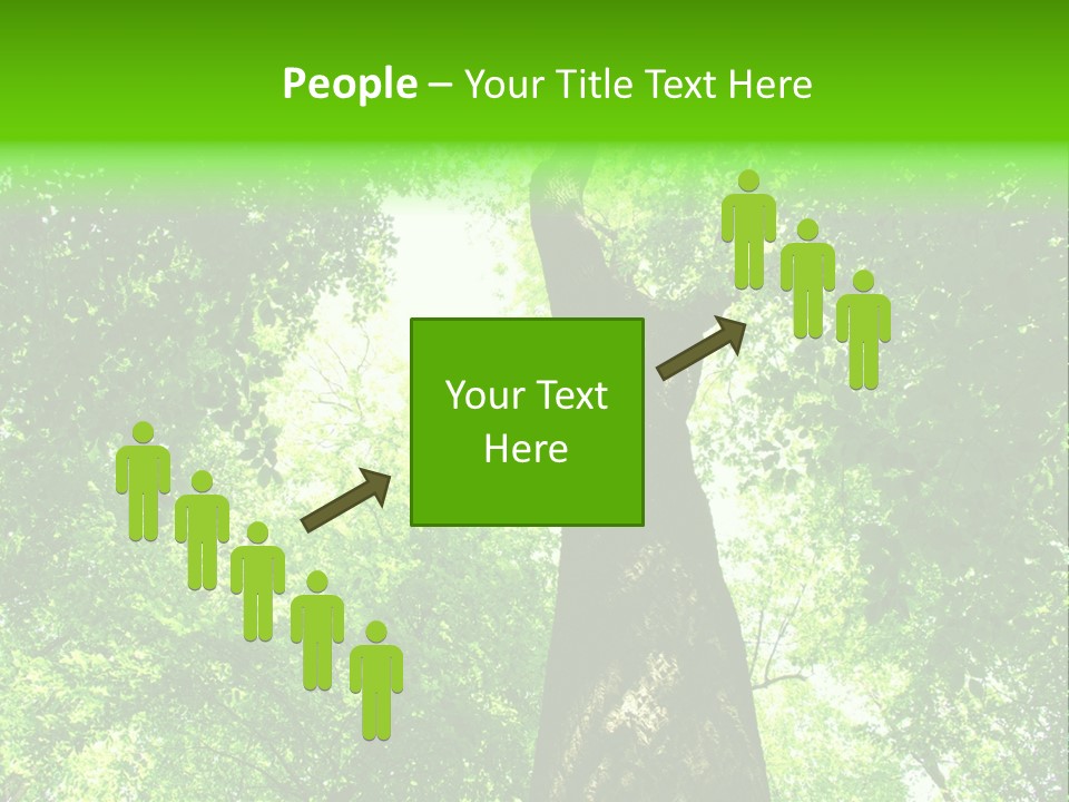 Day Landscape Deciduous PowerPoint Template