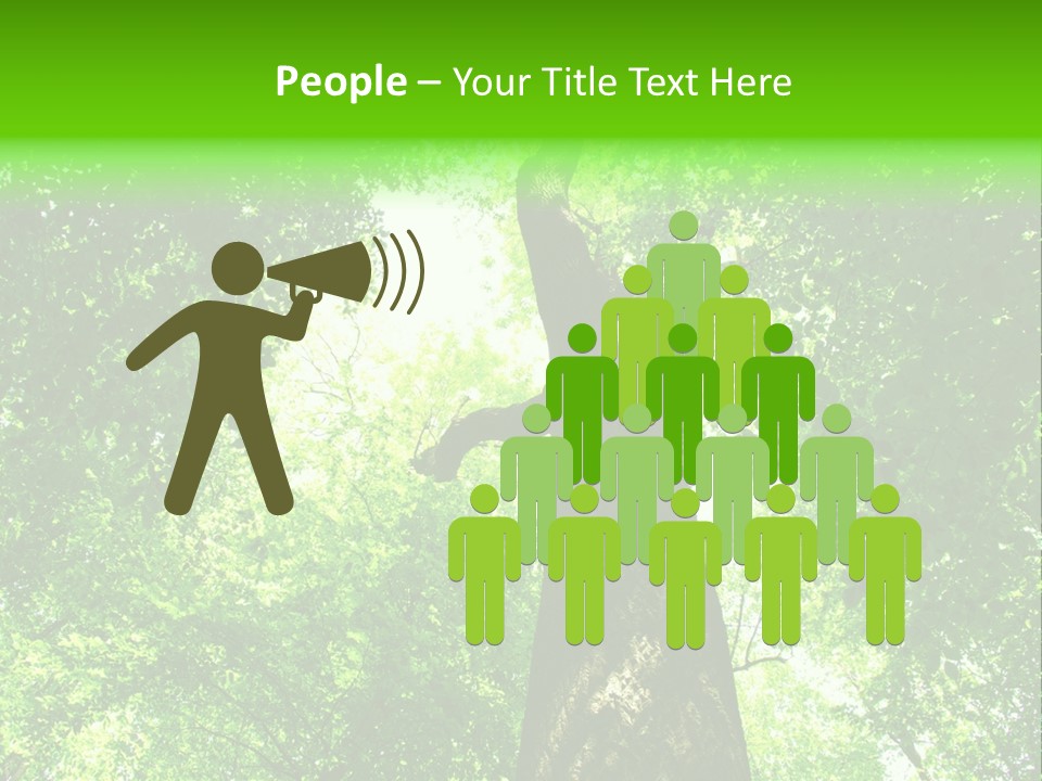 Day Landscape Deciduous PowerPoint Template