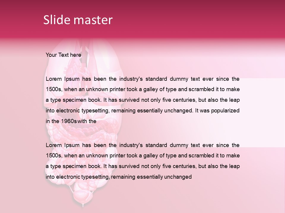 Gallbladder Belly Healthy PowerPoint Template