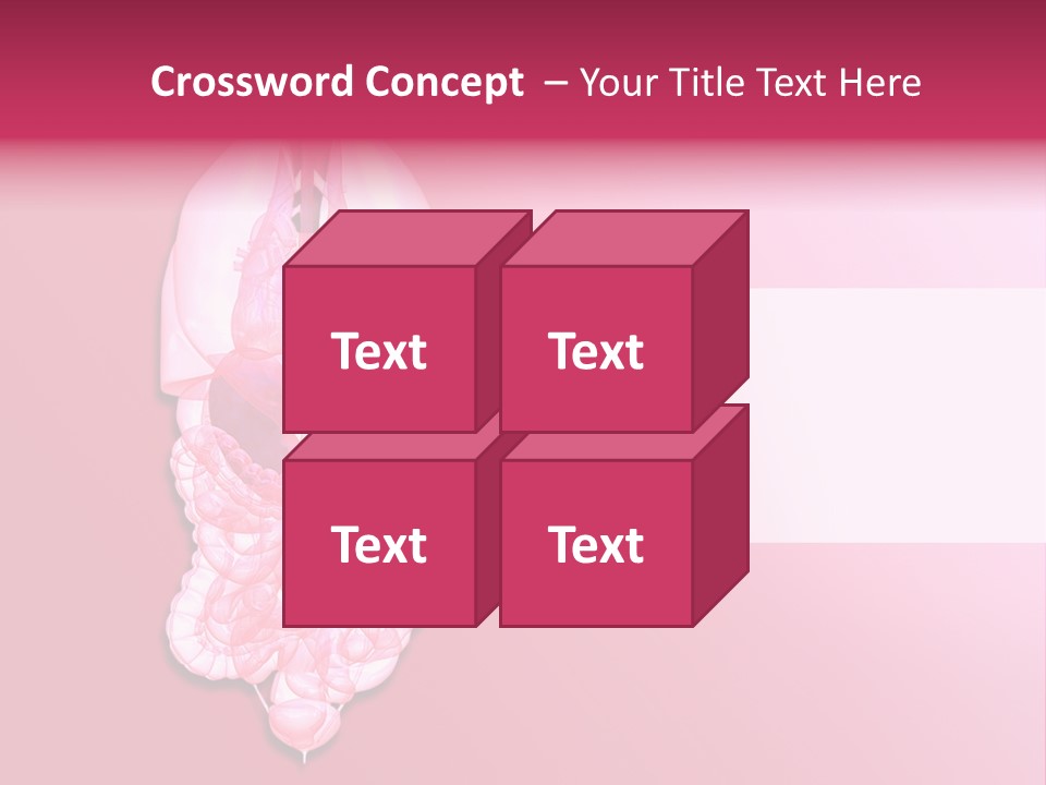 Gallbladder Belly Healthy PowerPoint Template