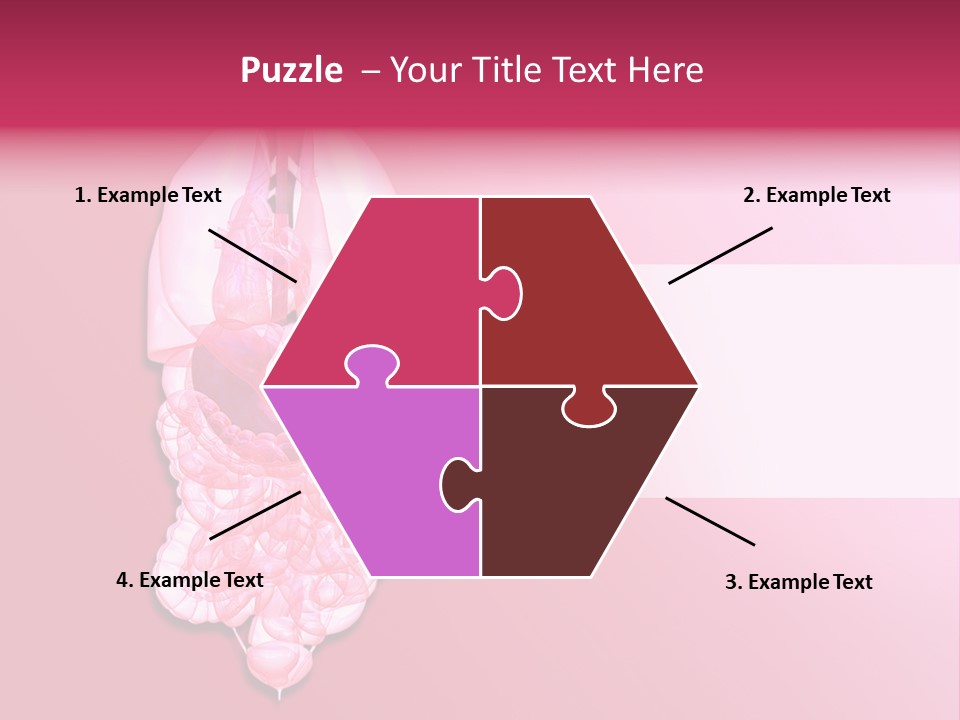 Gallbladder Belly Healthy PowerPoint Template