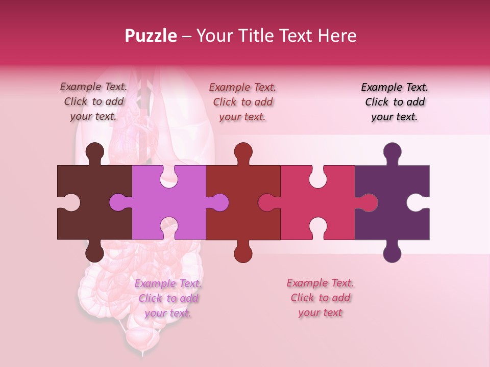 Gallbladder Belly Healthy PowerPoint Template