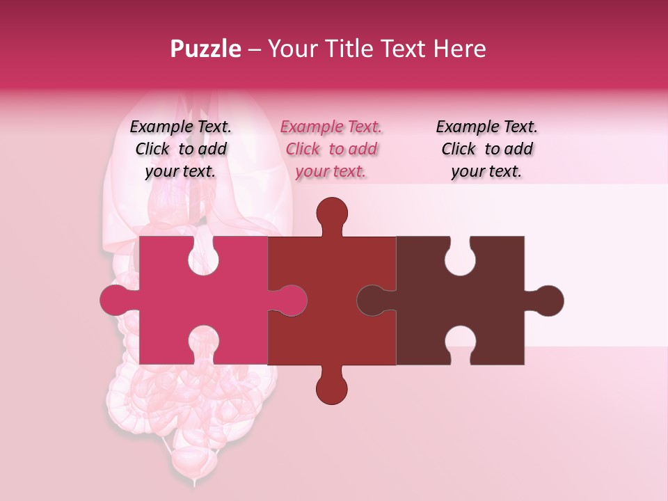 Gallbladder Belly Healthy PowerPoint Template