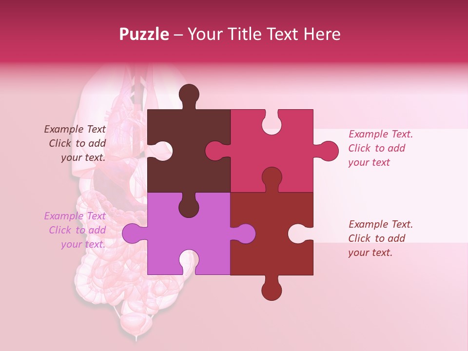 Gallbladder Belly Healthy PowerPoint Template