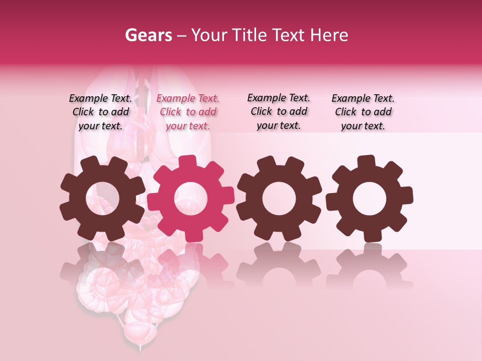 Gallbladder Belly Healthy PowerPoint Template