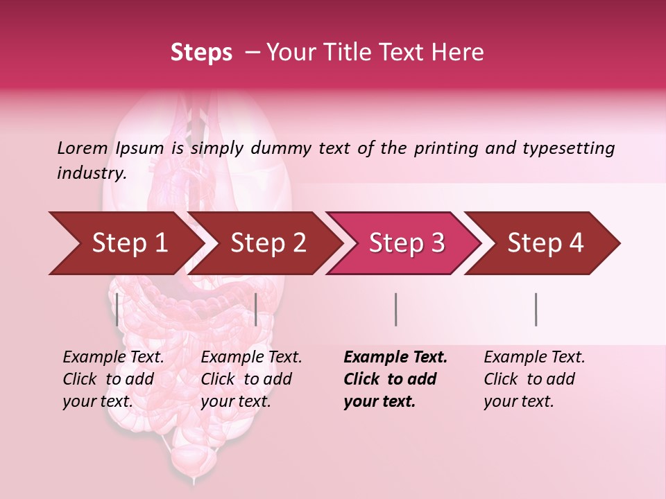 Gallbladder Belly Healthy PowerPoint Template