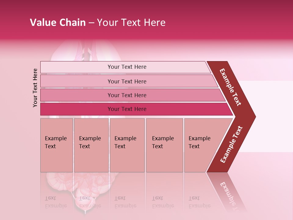 Gallbladder Belly Healthy PowerPoint Template