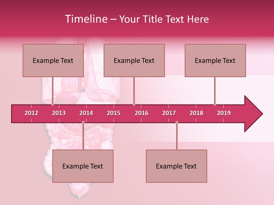 Gallbladder Belly Healthy PowerPoint Template