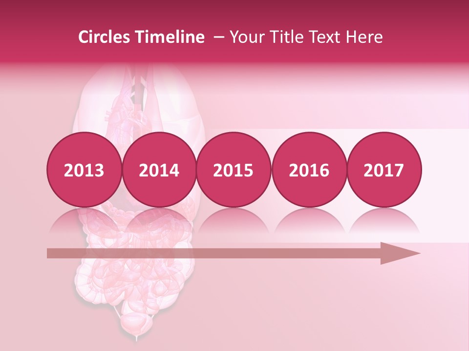 Gallbladder Belly Healthy PowerPoint Template