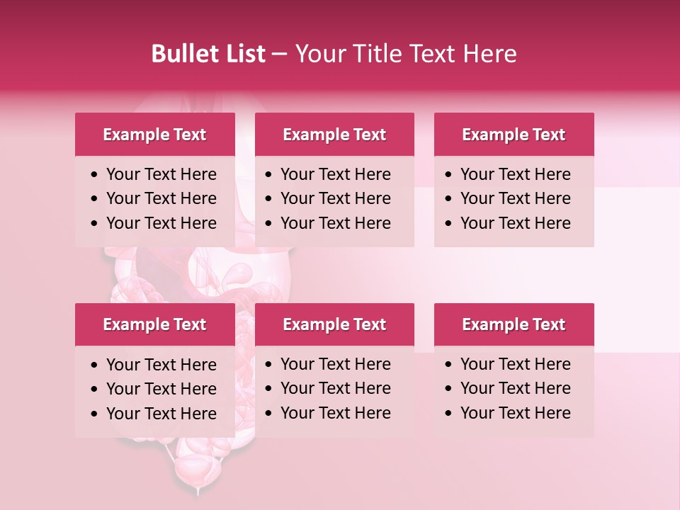 Gallbladder Belly Healthy PowerPoint Template