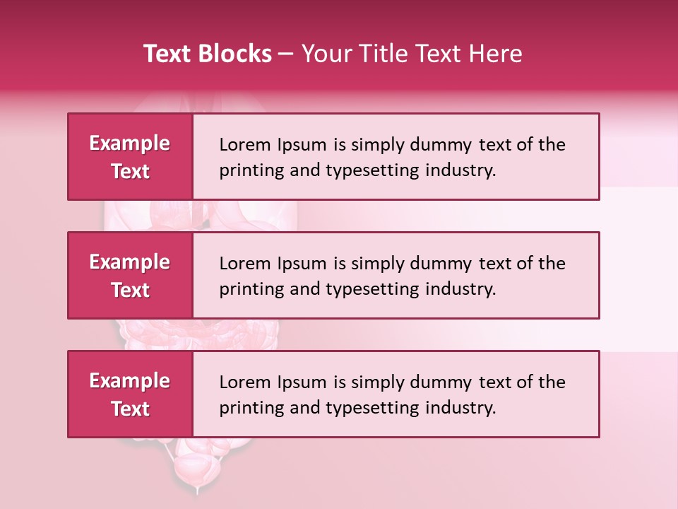 Gallbladder Belly Healthy PowerPoint Template