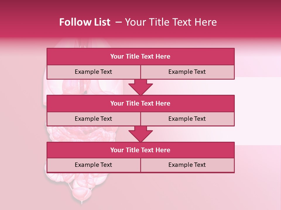 Gallbladder Belly Healthy PowerPoint Template
