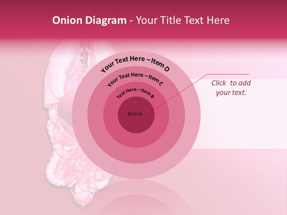 Gallbladder Belly Healthy PowerPoint Template