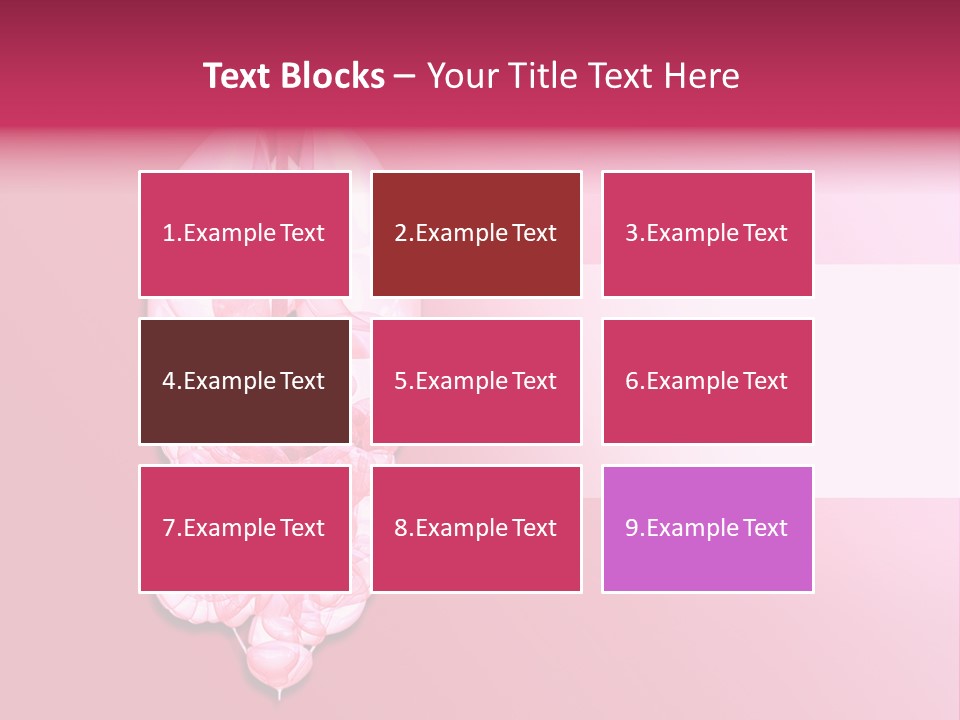 Gallbladder Belly Healthy PowerPoint Template