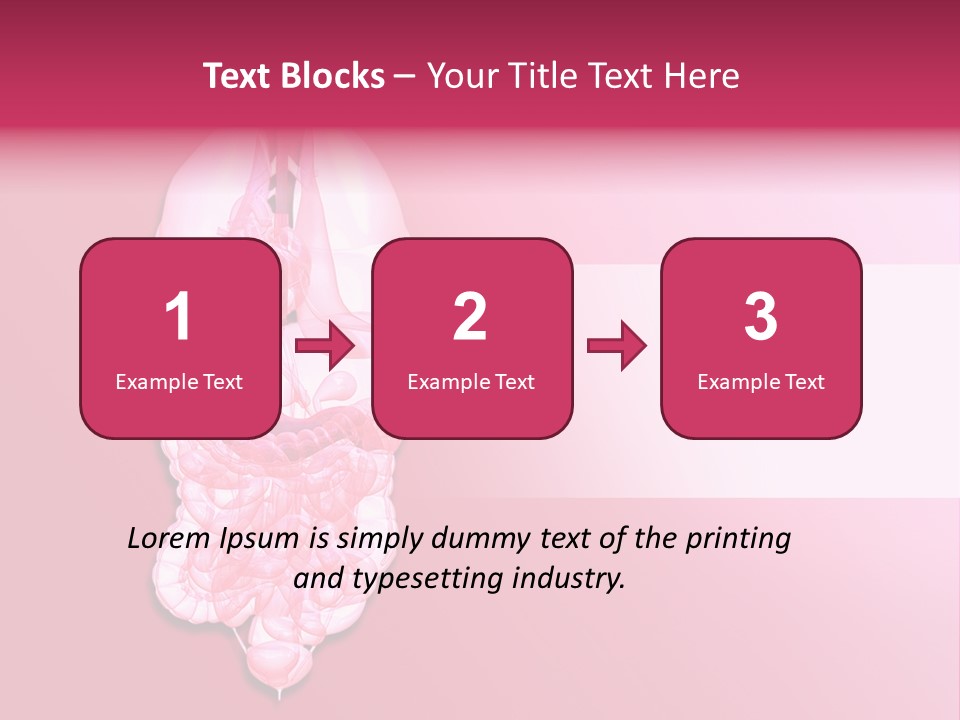 Gallbladder Belly Healthy PowerPoint Template