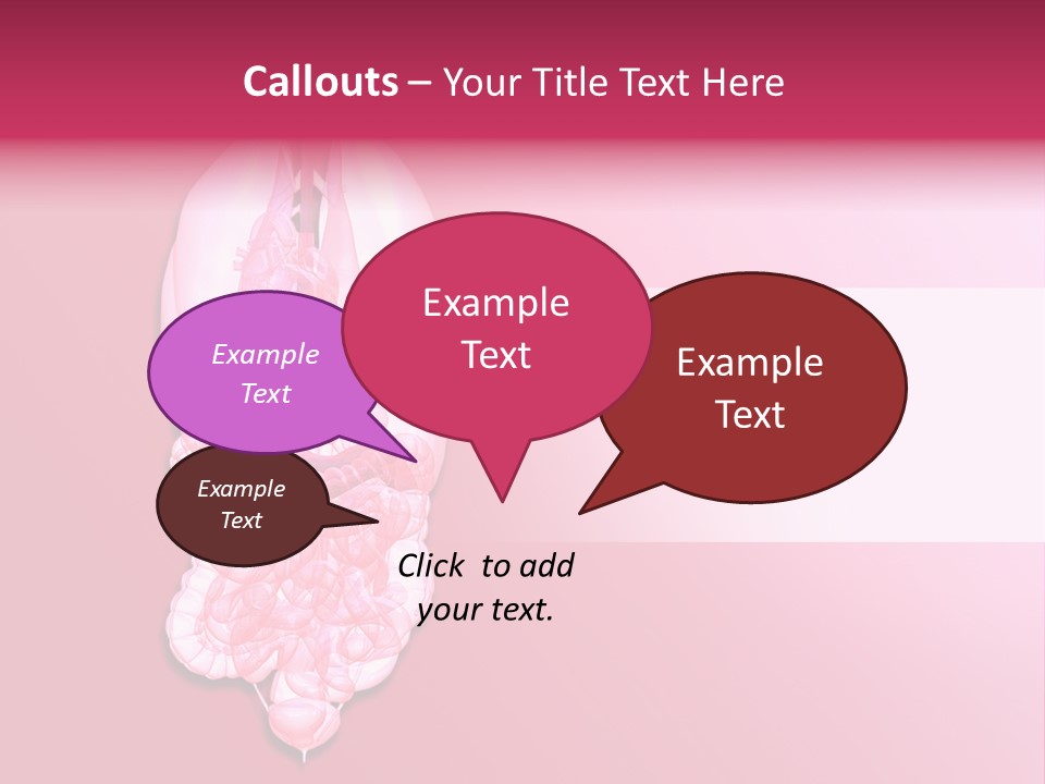 Gallbladder Belly Healthy PowerPoint Template