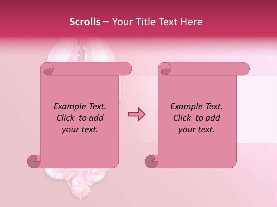 Gallbladder Belly Healthy PowerPoint Template