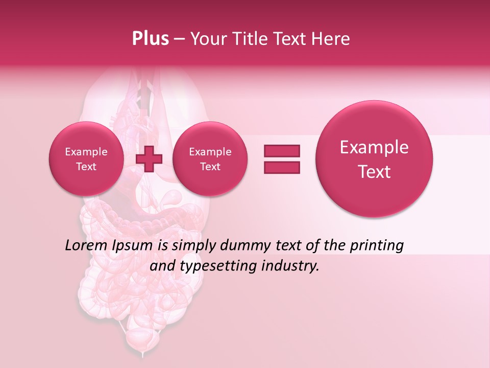 Gallbladder Belly Healthy PowerPoint Template