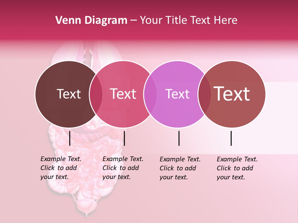 Gallbladder Belly Healthy PowerPoint Template