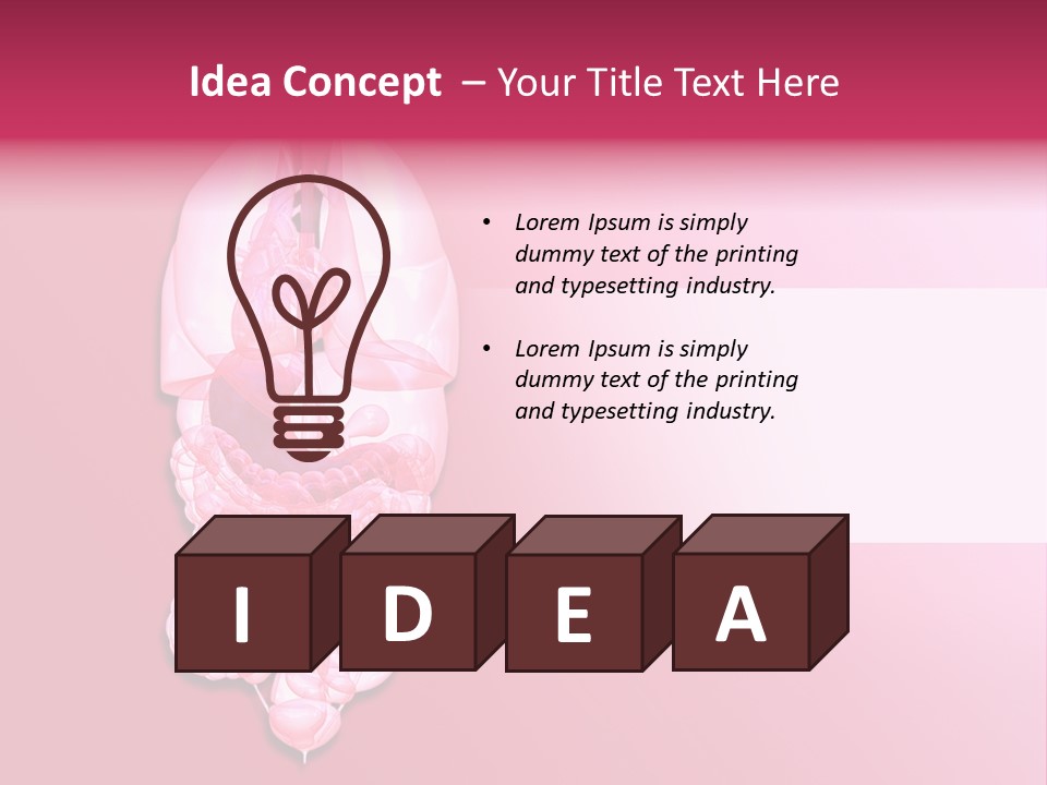 Gallbladder Belly Healthy PowerPoint Template