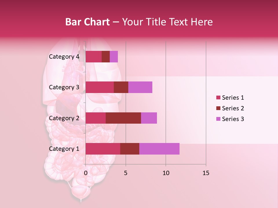 Gallbladder Belly Healthy PowerPoint Template