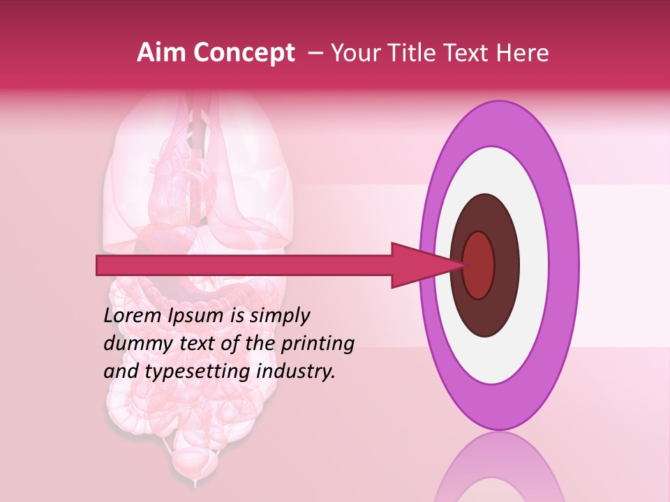 Gallbladder Belly Healthy PowerPoint Template