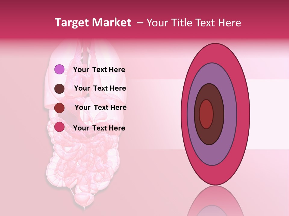 Gallbladder Belly Healthy PowerPoint Template