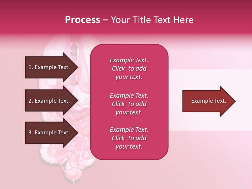 Gallbladder Belly Healthy PowerPoint Template