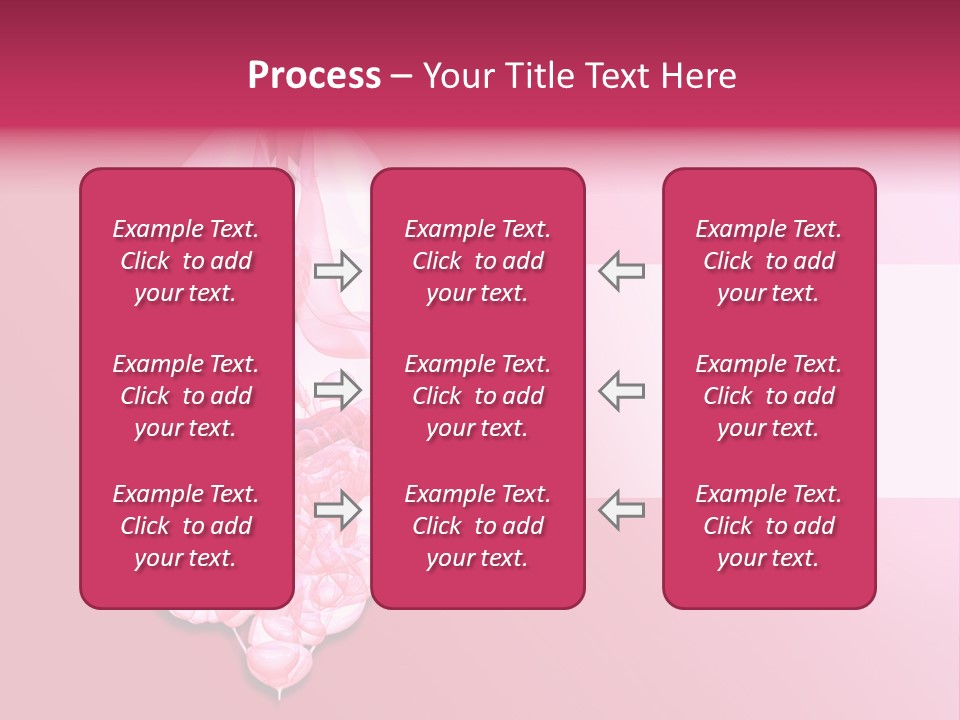 Gallbladder Belly Healthy PowerPoint Template
