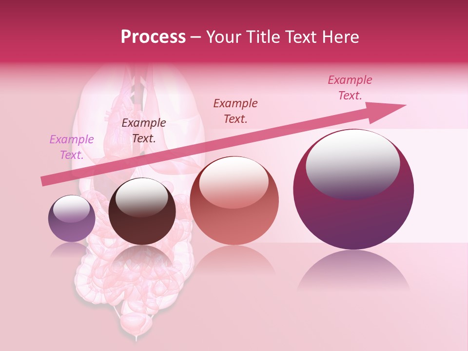 Gallbladder Belly Healthy PowerPoint Template