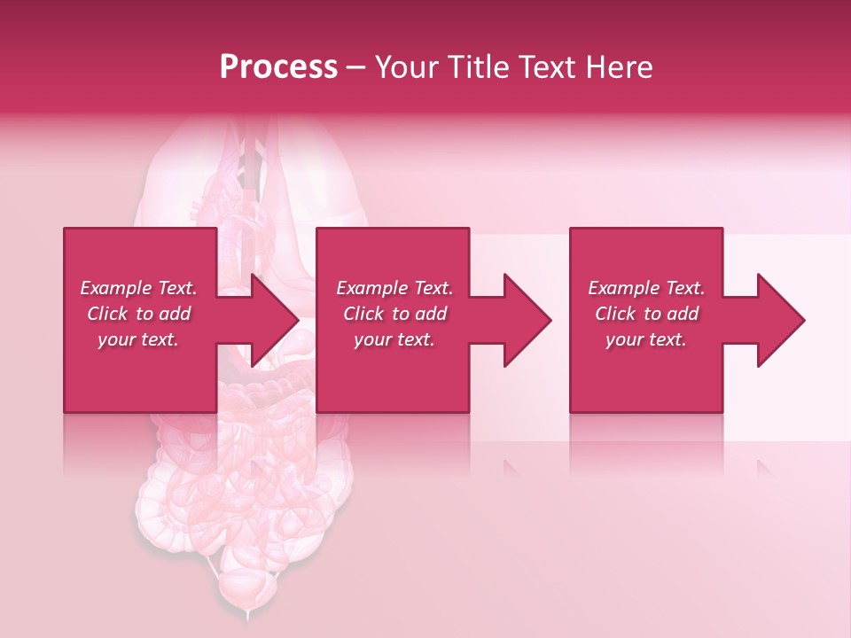 Gallbladder Belly Healthy PowerPoint Template