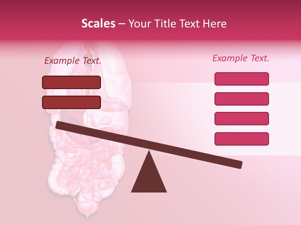 Gallbladder Belly Healthy PowerPoint Template