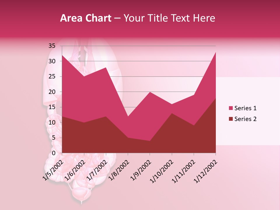 Gallbladder Belly Healthy PowerPoint Template