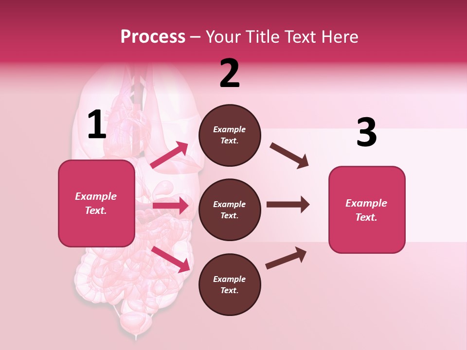 Gallbladder Belly Healthy PowerPoint Template