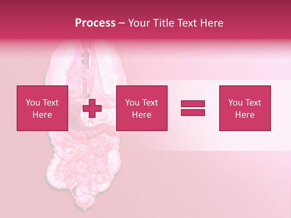 Gallbladder Belly Healthy PowerPoint Template