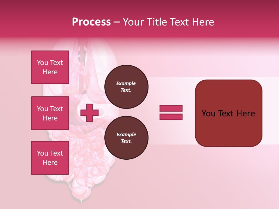 Gallbladder Belly Healthy PowerPoint Template