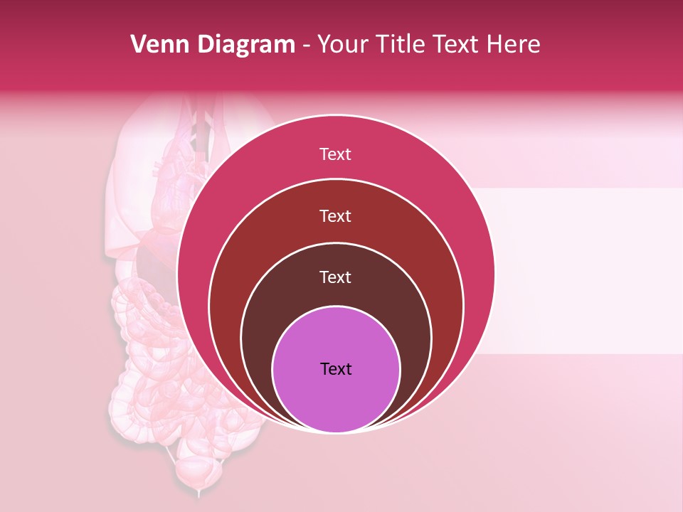 Gallbladder Belly Healthy PowerPoint Template