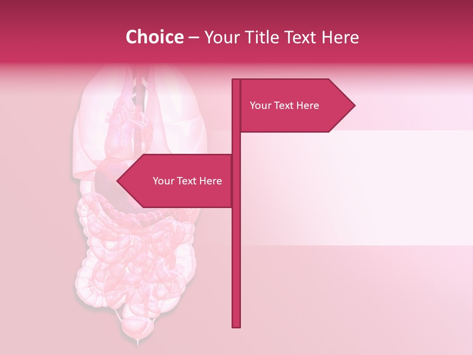 Gallbladder Belly Healthy PowerPoint Template